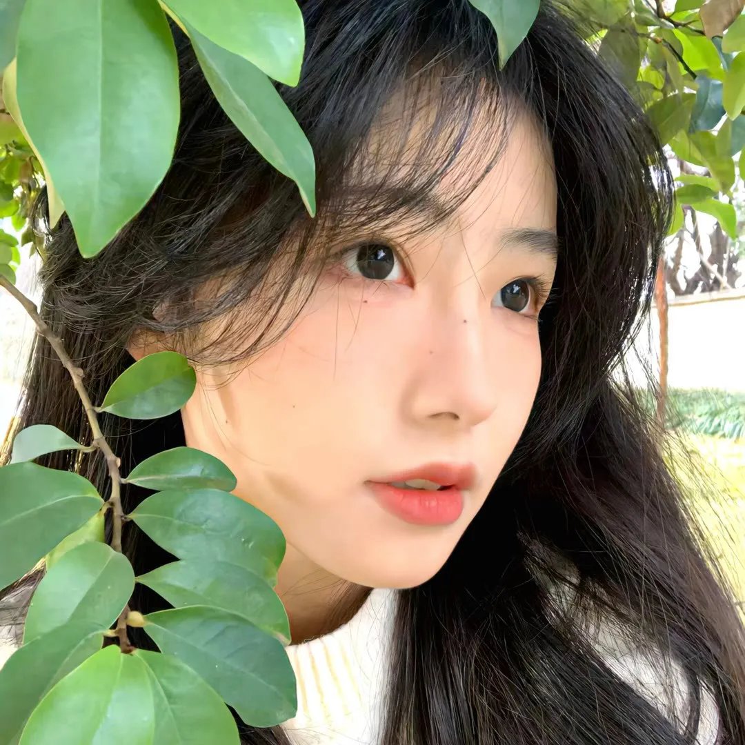 萤火之森